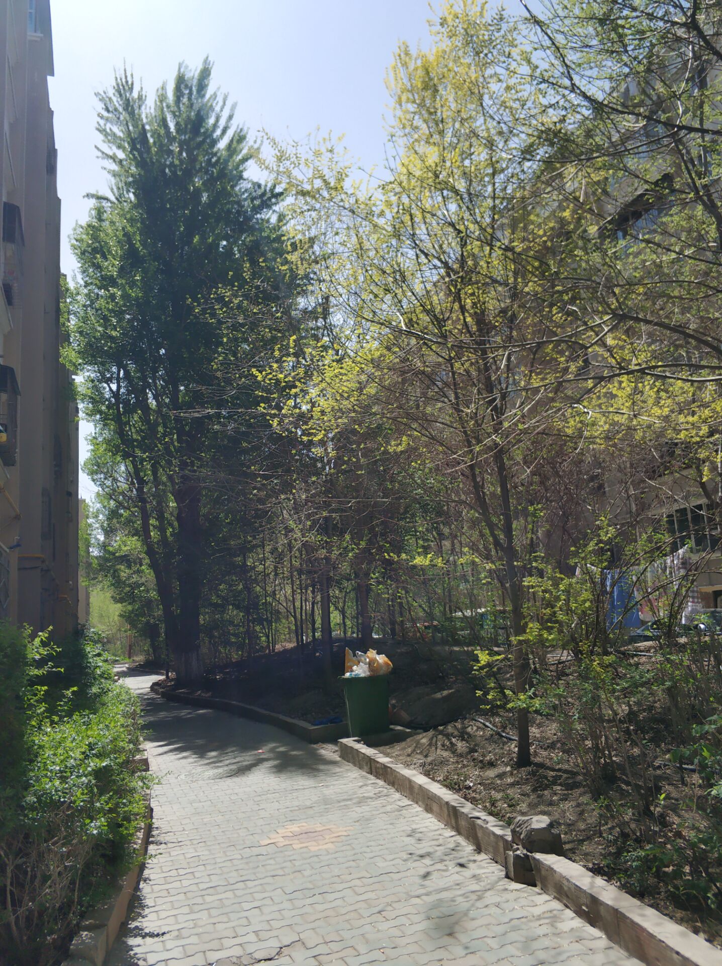 乌鲁木齐居然有这么漂亮的地方,乌鲁木齐周边森林公园在哪里