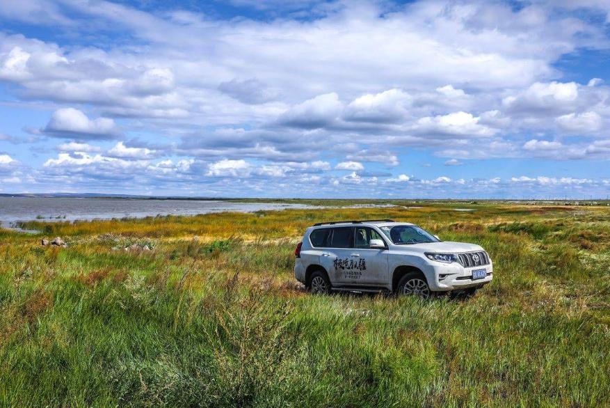 日产丰田霸道,丰田霸道为啥那么强