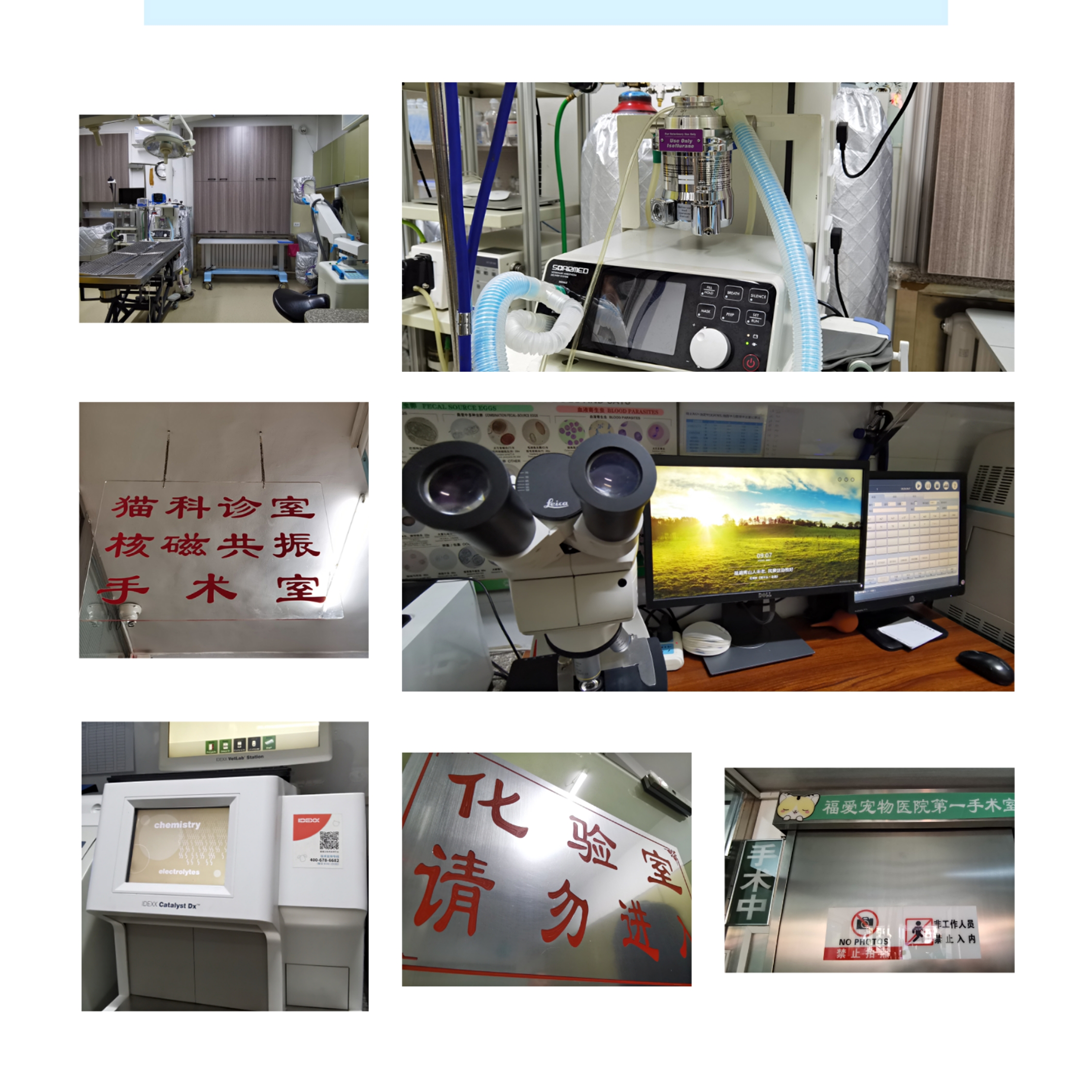 “生命面前万物平等”——记极地馆首席动物医疗顾问王福军教授