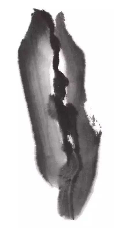 白描荷花的画法图片,如何画荷花白描大片