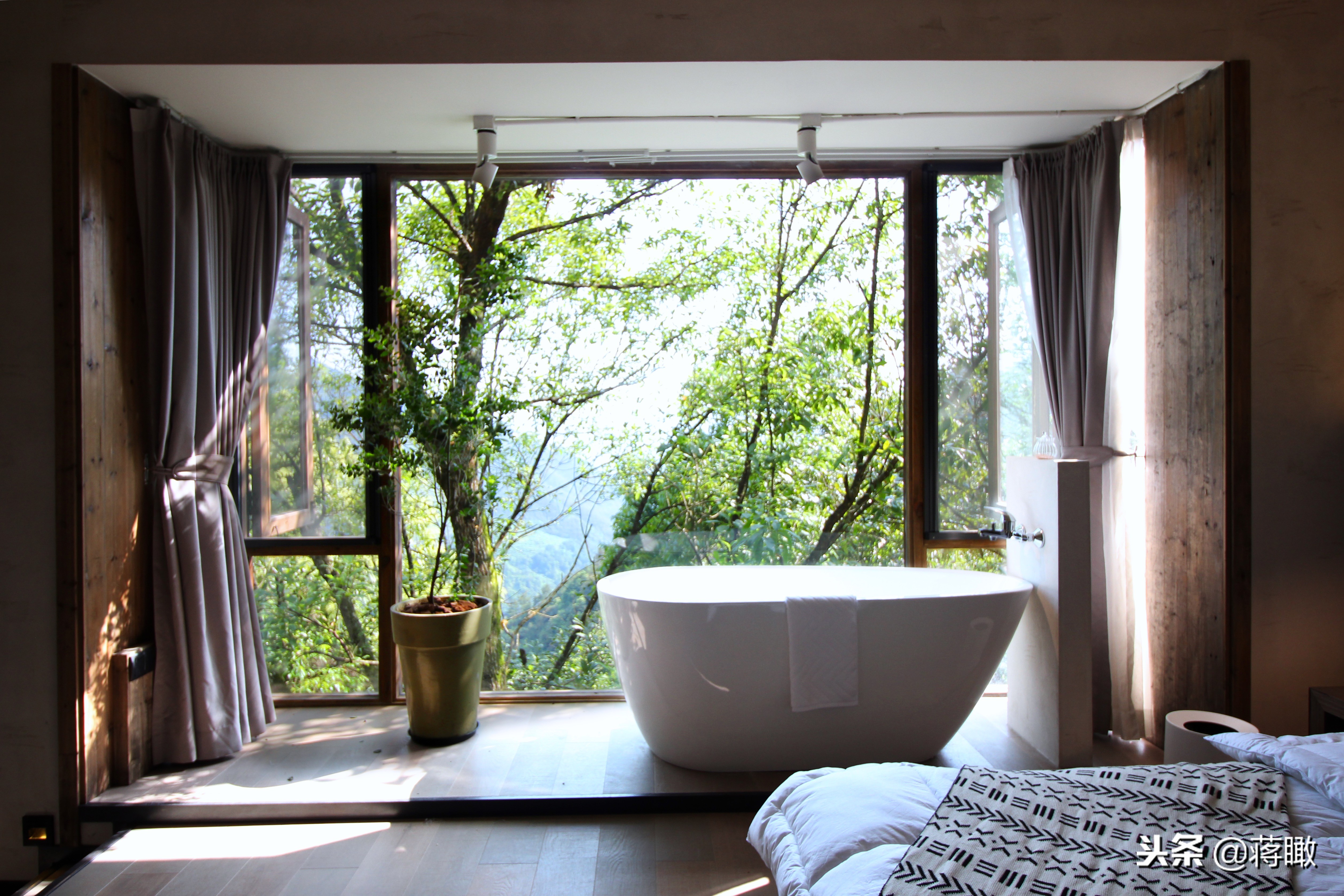 松阳,会是下一个理想国么?