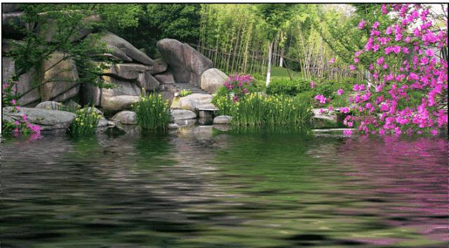 虫草山水画,四季花草山水画作品欣赏