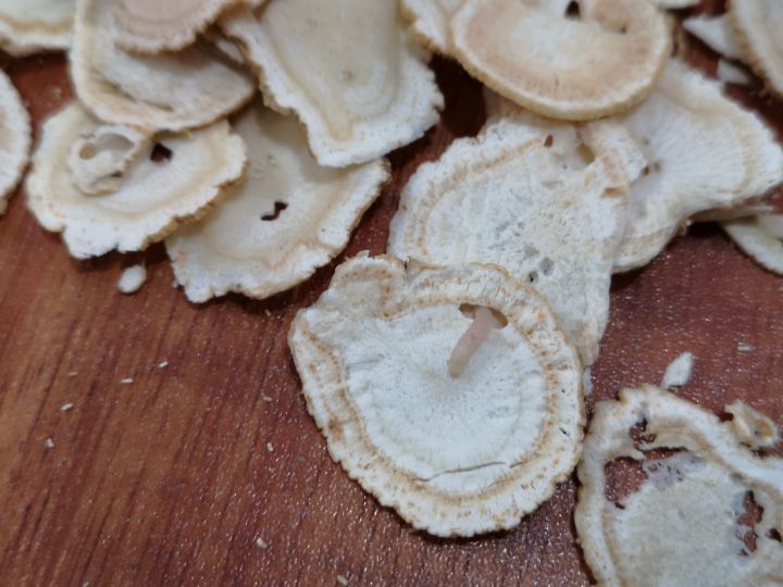 人参为什么容易发霉,干人参怎么存放不生虫子