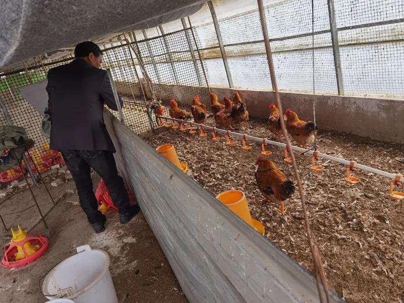 一线禁毒传奇故事,禁毒传奇十八载