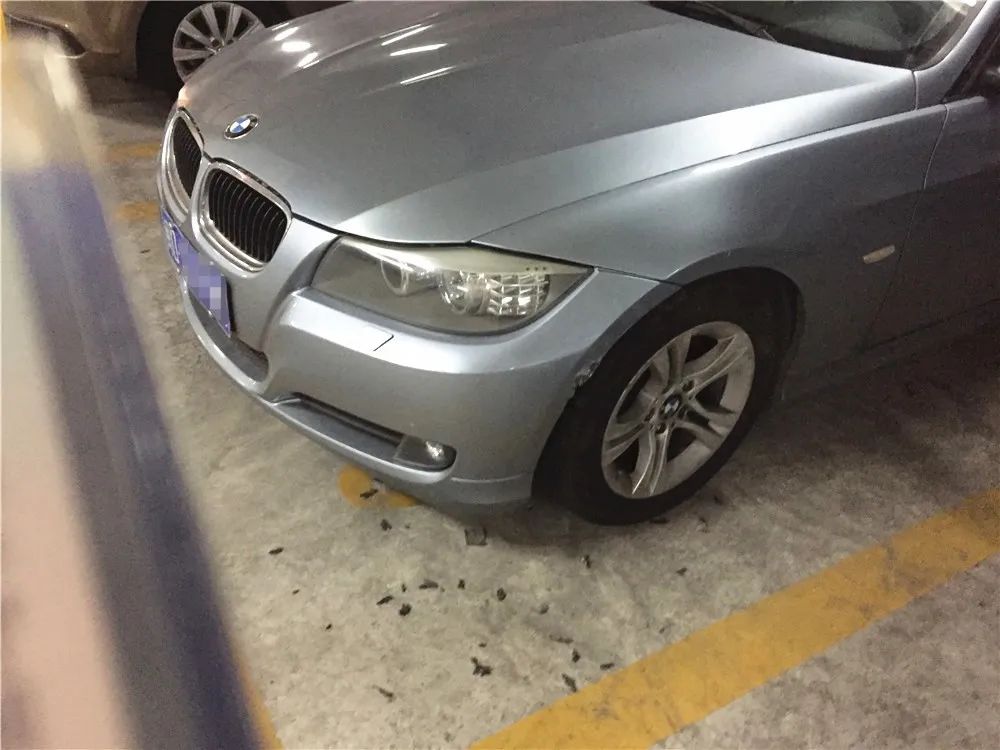 3条狗啃坏“宝马”,1万多元才能修好!狗的主人找不到,保险也不赔,咋办?