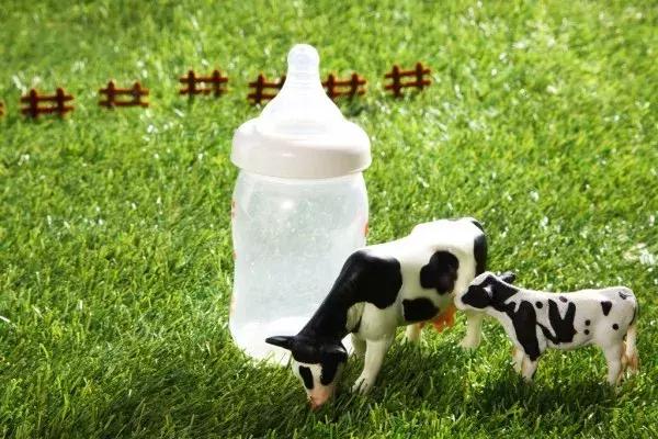 牛初乳对人体健康有哪些帮助,牛初乳最新新闻