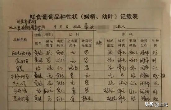 上大学学种地,上农业大学真的要种地吗