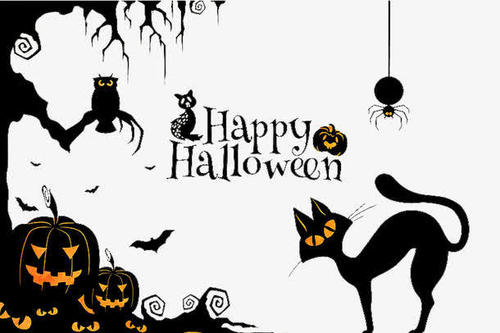 黑猫吉利吗,黑猫是吉利还是不祥