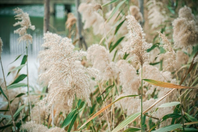 珠海横琴除了长隆还有什么东西玩,横琴有哪些景点可以玩儿