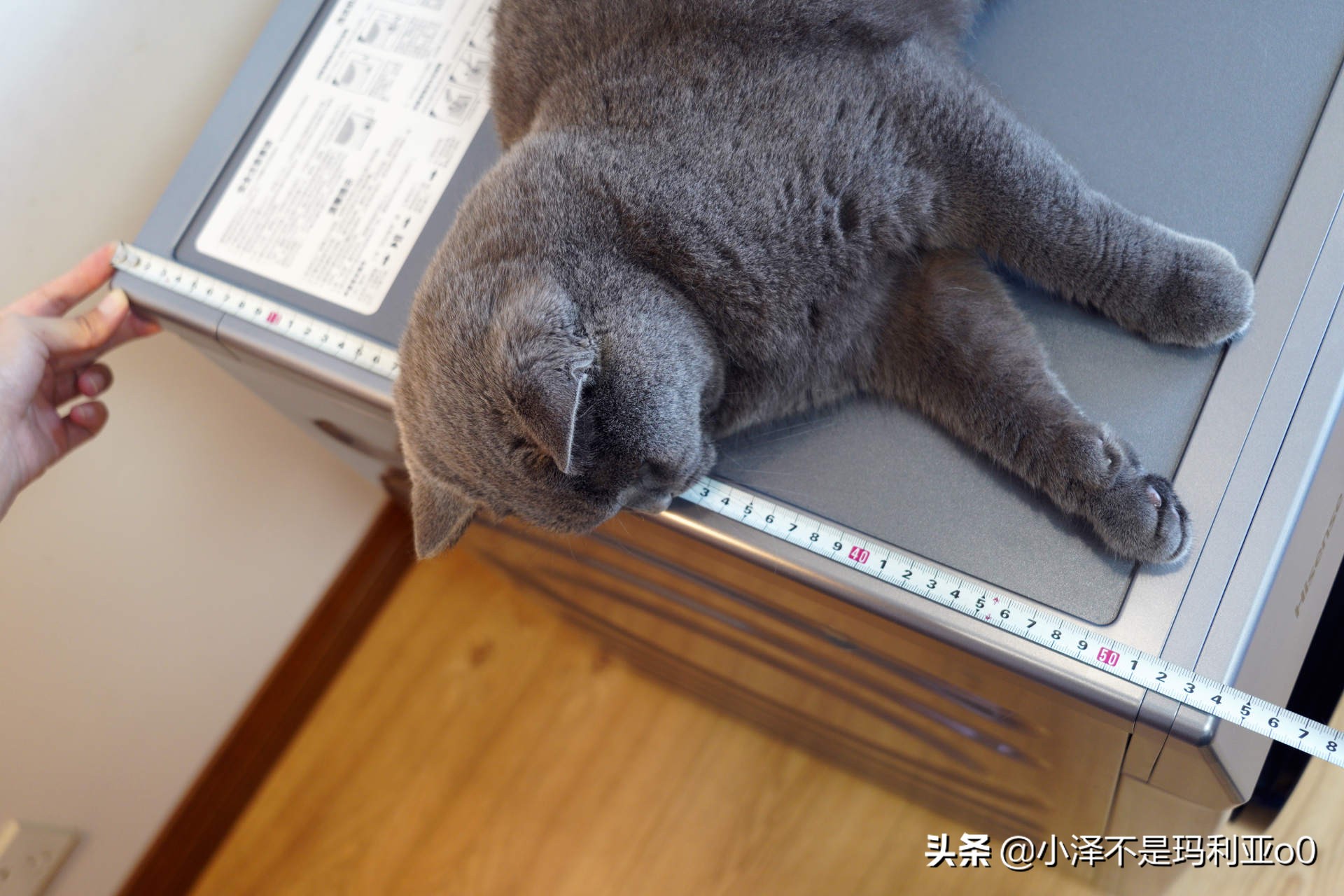 2000元以下的洗烘一体机能买吗,海信6公斤超薄洗烘一体机推荐