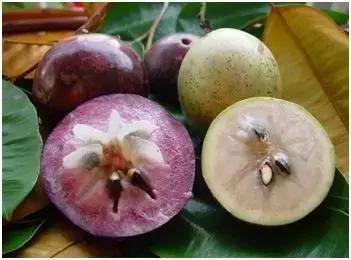 比较靠谱的致富项目,100个能赚钱的好项目