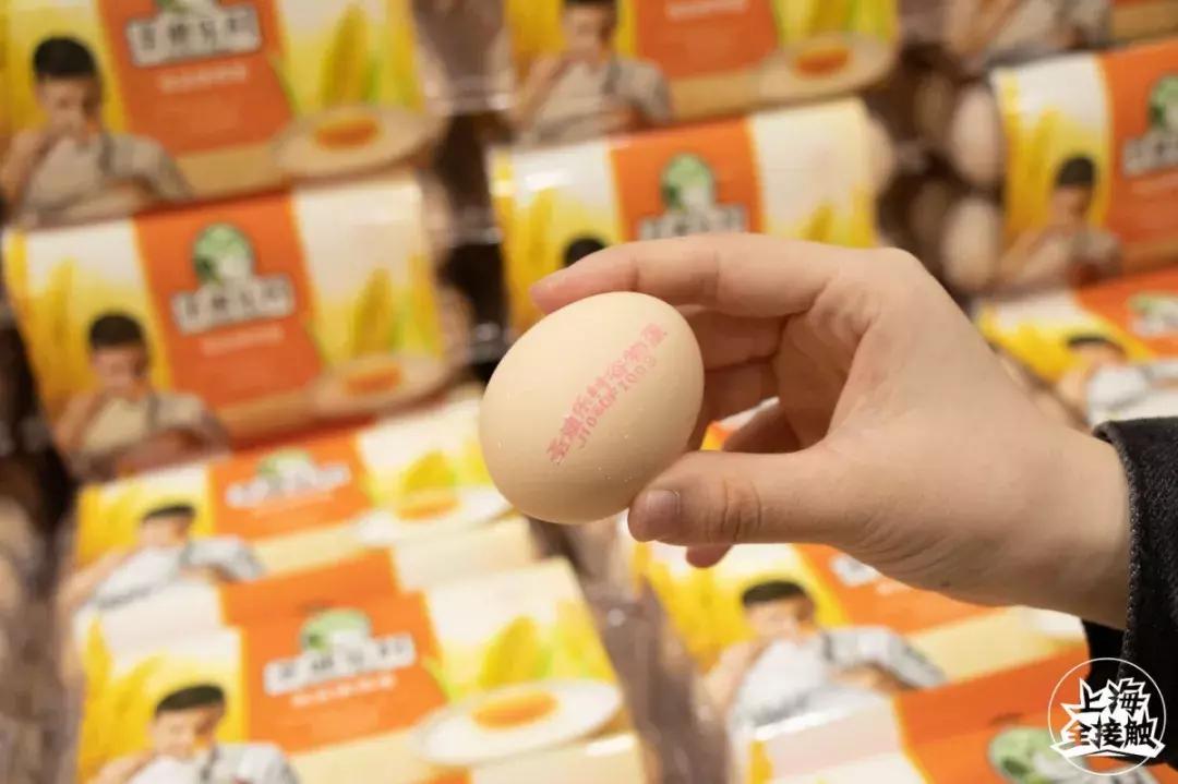 在上海怎么月入过万,在上海月入5000怎么活