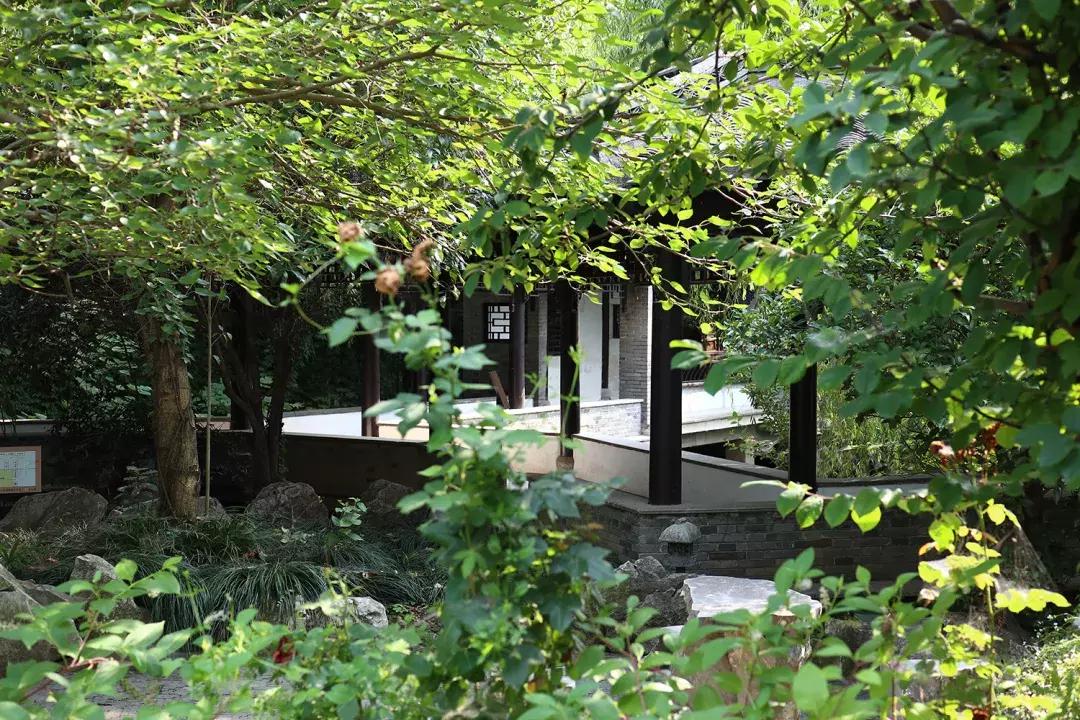 吴鞠通中医馆还看病吗,吴鞠通中医研究院看不孕怎么样