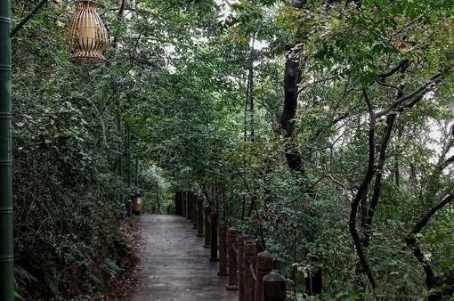 南京免费的公园,太全了