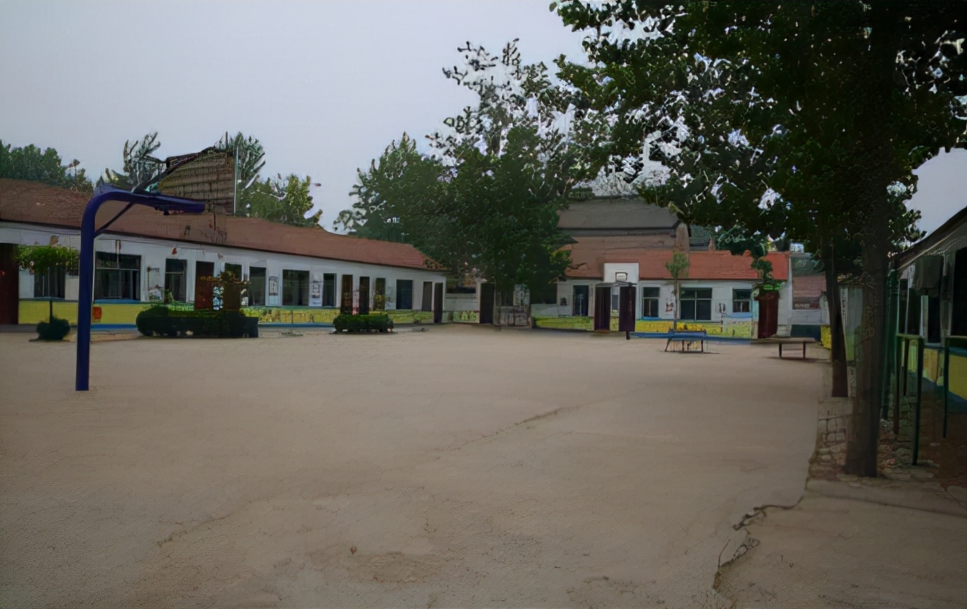 11年前,浙江农村奶奶收养了一个黑人小孩巴比,后来他怎么样了?