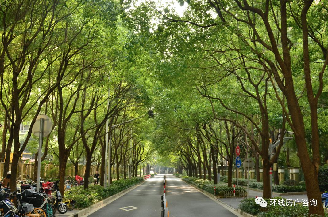 古北在售公寓,古北现在有人吗