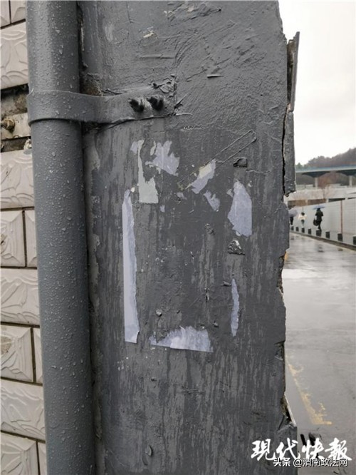 南京警方贴“寻人寻肉”告示找咸肉：涂了老鼠药