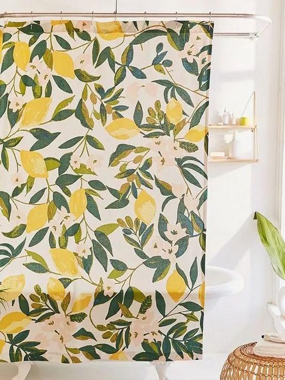 柠檬树种家里的好处,把柠檬树搬到阳光下