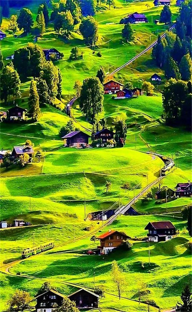 缓解眼睛疲劳动态图壁纸,好看的手机壁纸护眼高清图文