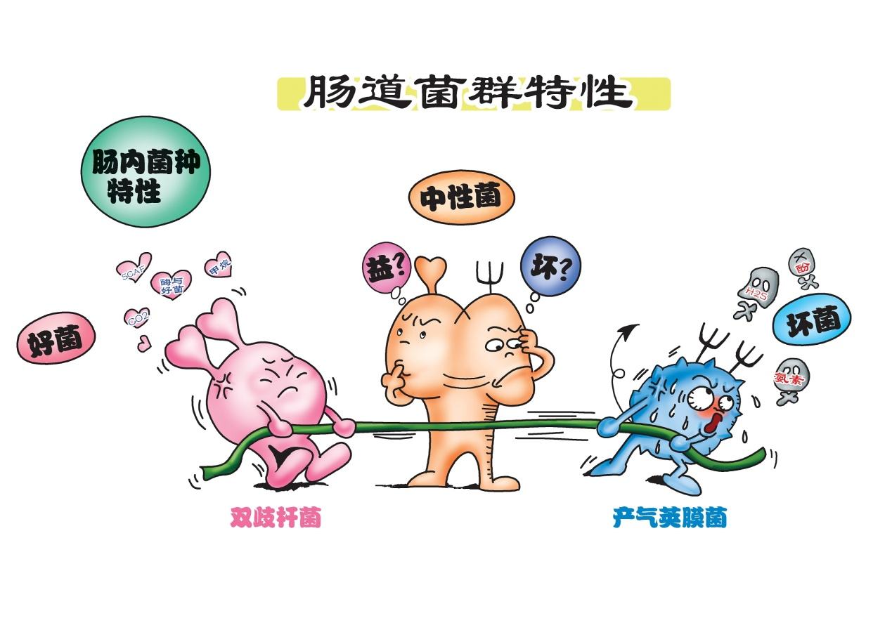 宝宝肠胃不好怎么治疗吃什么药,宝宝肠胃不好怎么改善