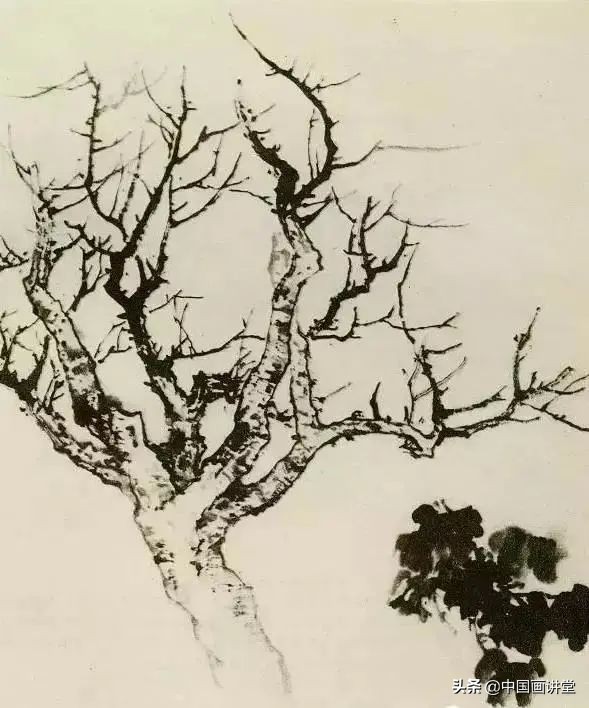 缠枝、挺杆、屈节、钮裂、一棵树如何画?看了这篇你绝对能学会