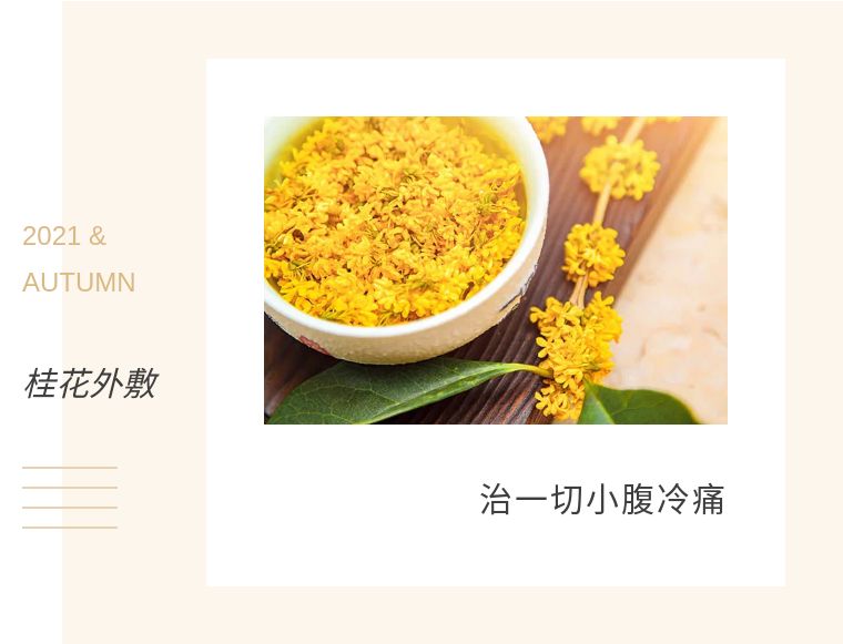 脾胃虚寒下腹冷痛是什么原因,脾胃虚寒为什么会小腹冷痛