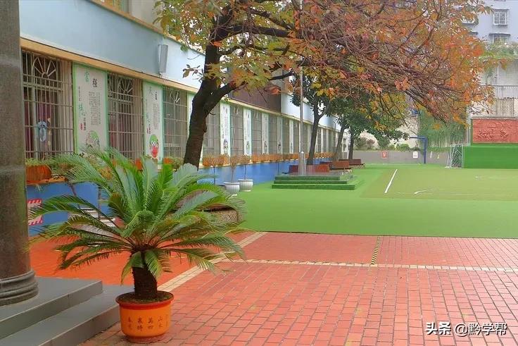 贵阳一小学分校,贵阳小学排名含分校