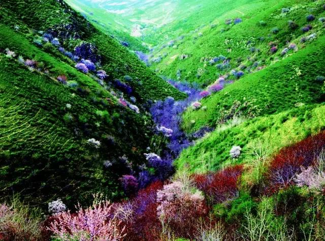 国家认证！*疆新**又一城市成为“中国天然氧吧”，大自然“空调房”就在……