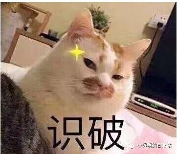 居然比原著还要精彩,它凭什么能做到?