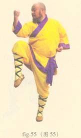 少林心意门拳视频教程,少林长护心意拳图解