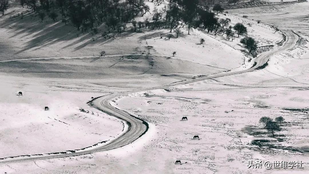 百程旅行公司关闭的原因,百程旅行公司关闭原因