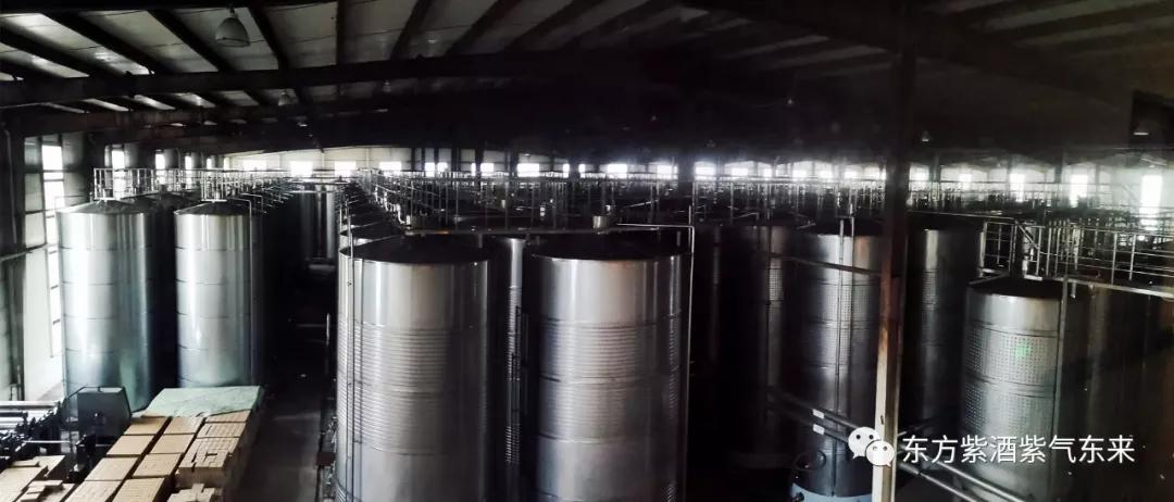 传承桑氏家族文化,传承传统文化彰显蚕桑魅力美篇