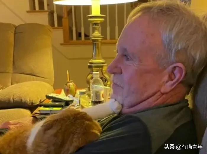 养猫也能治疗癌症?是真的