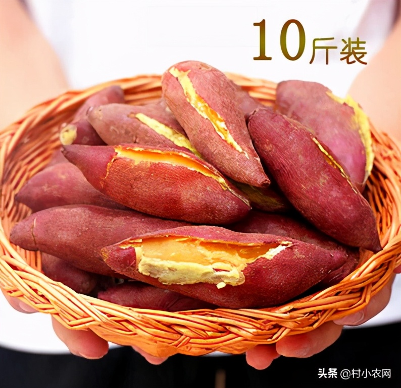 农村适合穷人的18个创业项目,想在农村创业做项目