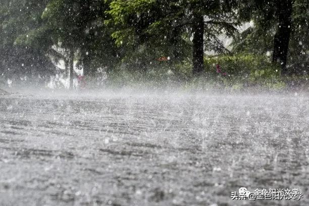 下雨了水来了,下雨了下雨了下雨了歌词试听