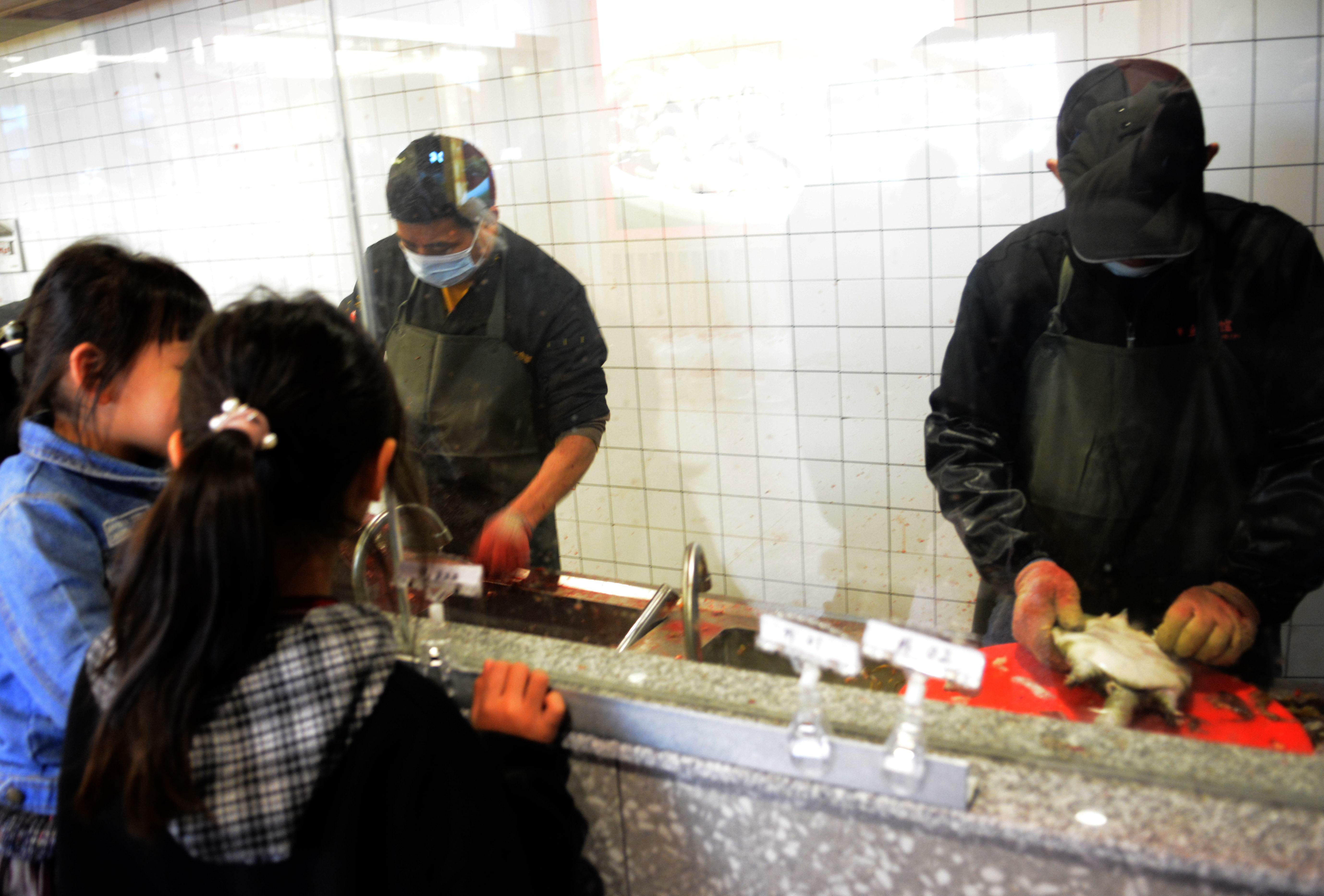 长沙甲鱼小馆美食攻略,长沙甲鱼馆哪家好吃