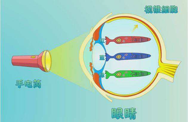 一副眼镜就能解决老花眼,一副眼镜解决近视老花问题