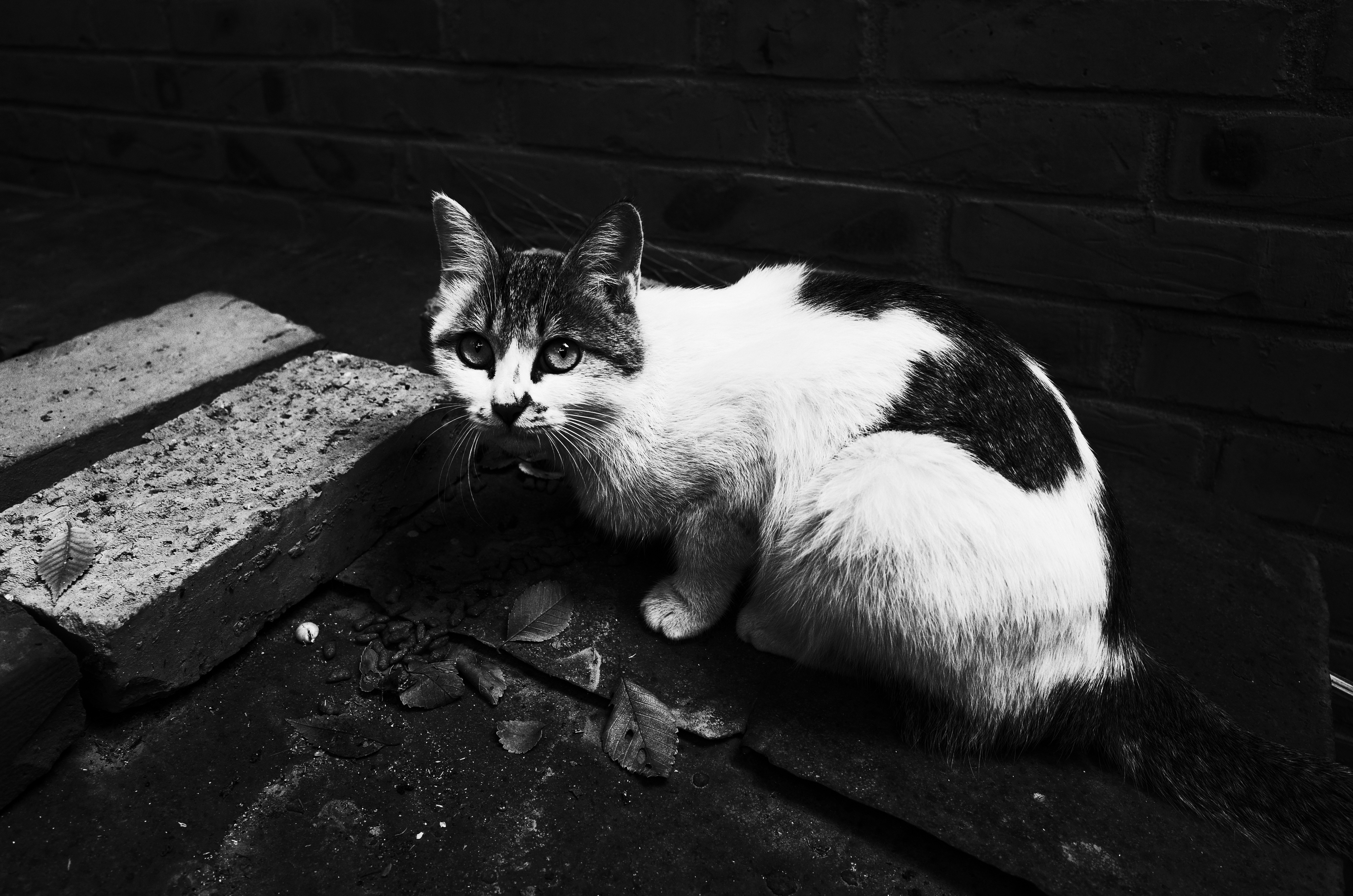 不要被器材左右，我们追求的终究还是摄影的精髓：理光GR（上）