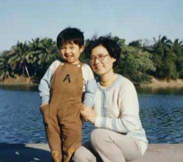 马伊琍和董璇谁更出名,董璇为什么回应离婚