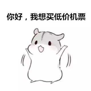 代购机票骗局,代购买飞机票骗局