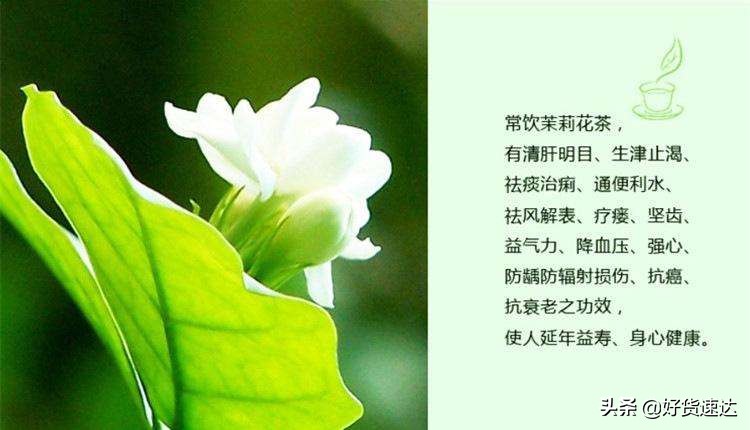 横县茉莉花小镇,横县茉莉花茶市场直播间