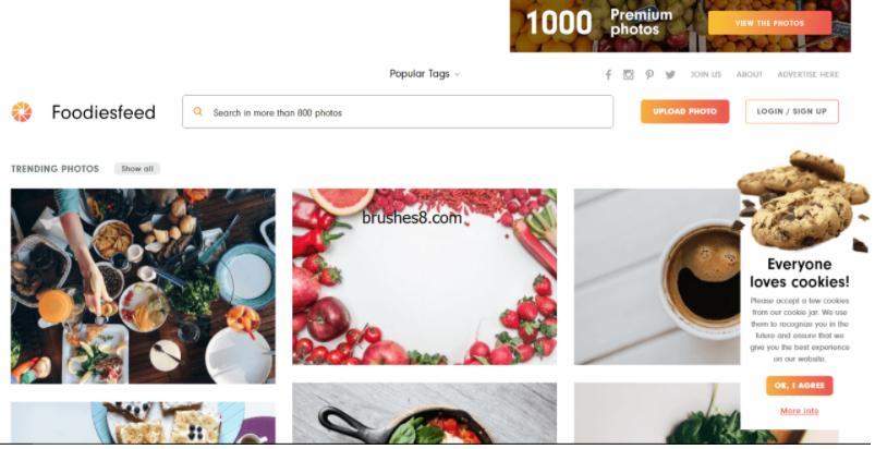 视频素材无水印免费下载网站,无版权视频素材网站
