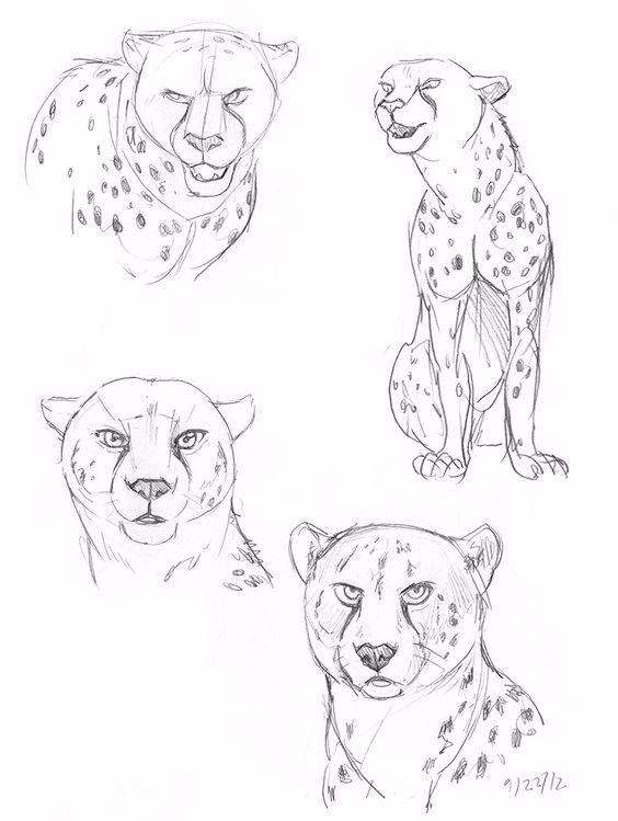 简笔画人物教程大全零基础成人,1000个适合零基础的简笔画教程