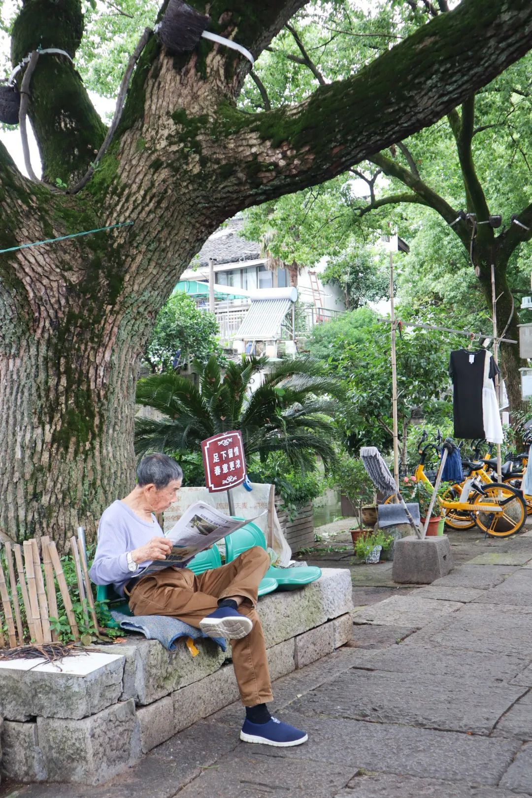 水上威尼斯乌镇,江南水上威尼斯