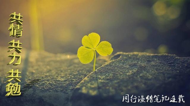 徒骇河残记：逝者如斯，不舍昼夜，我的童年，我的河