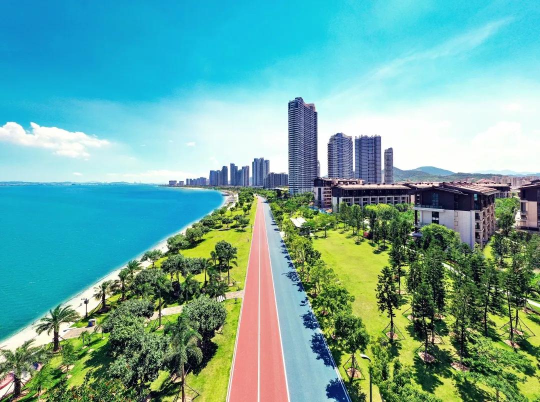 直奔厦门,厦门夏日旅行攻略