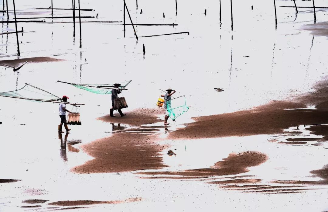 中国最美渔村霞浦,霞浦最美滩涂在哪