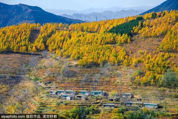 10月北京最佳小众旅行地！绝不能错过的秋色，到底有多美？