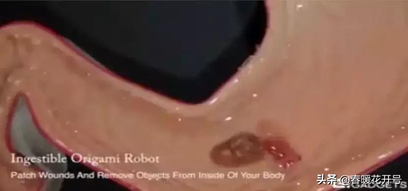 段永朝互联网十种思维,段永朝谈生命的意义