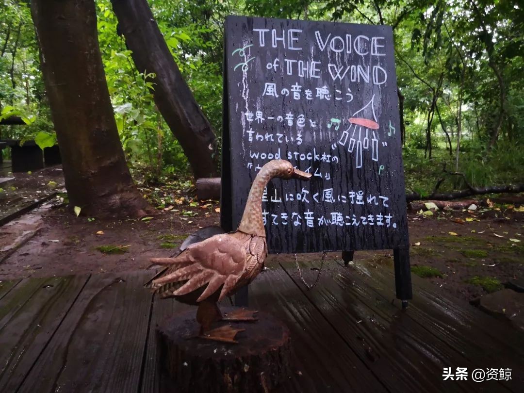 日本的小微企业有哪些,日本小微企业